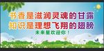 读书宣传