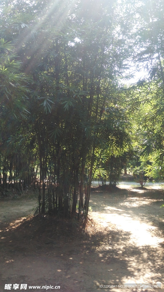 美景 风景 旅游 海洋 动物