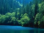 山水