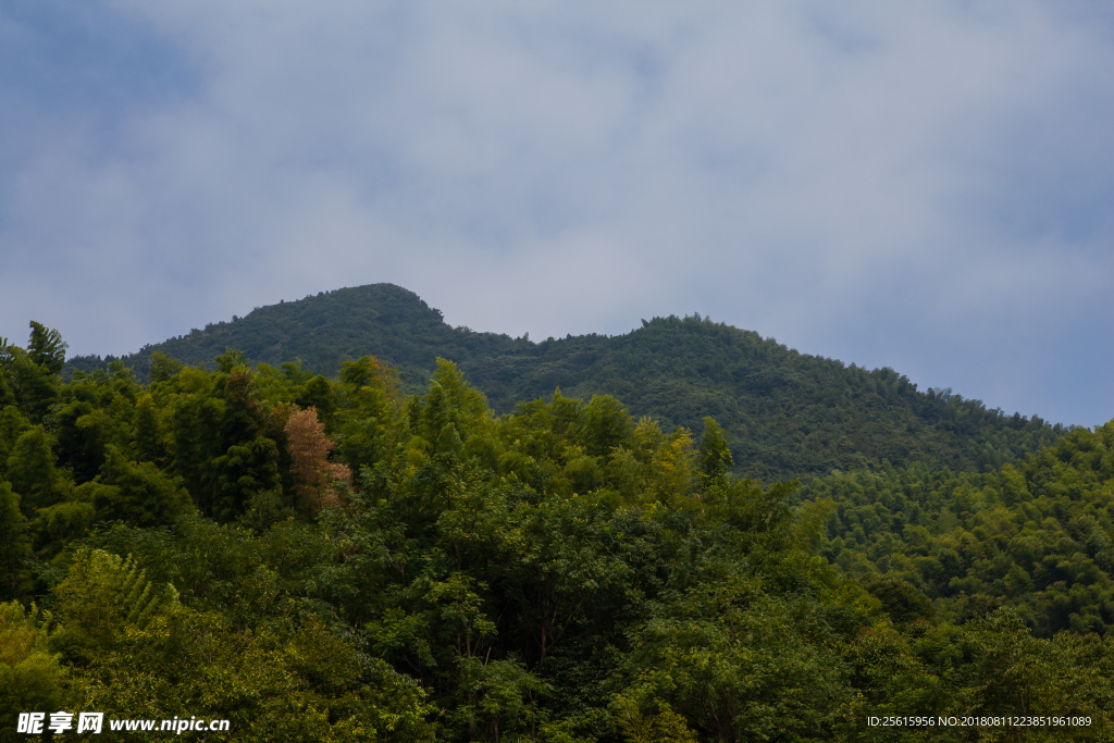 杨岐山风景区