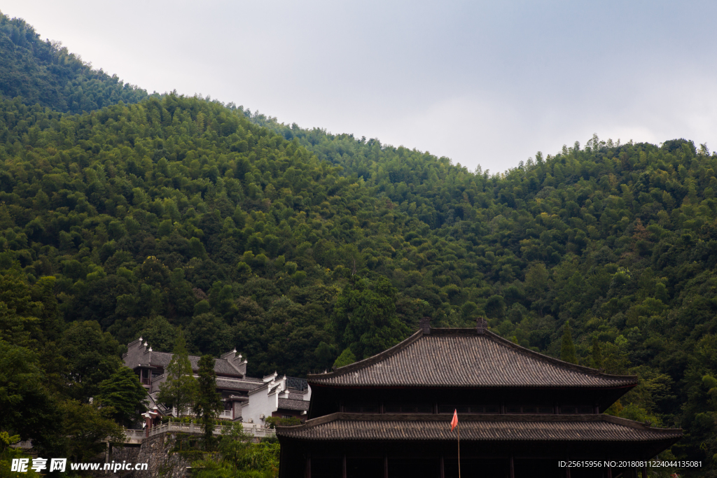 杨岐普通寺