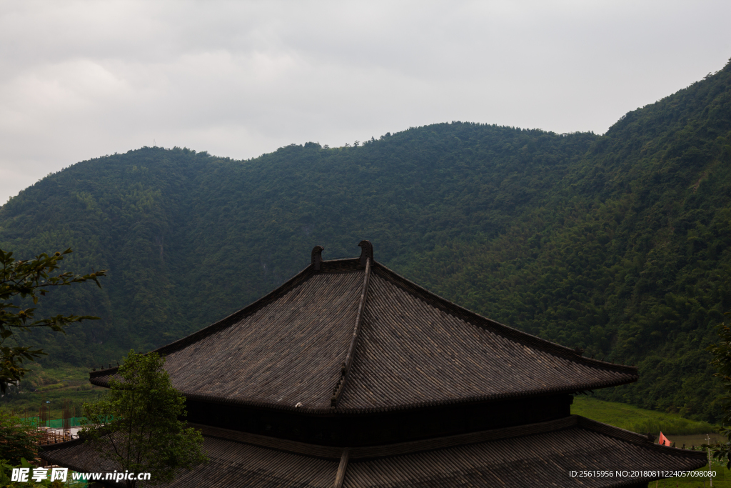 杨岐普通寺