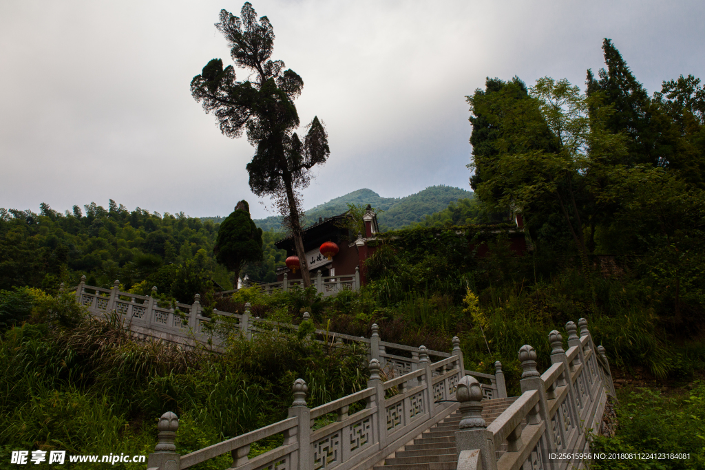 杨岐普通寺