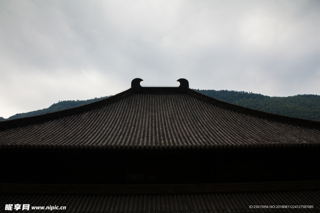 杨岐普通寺