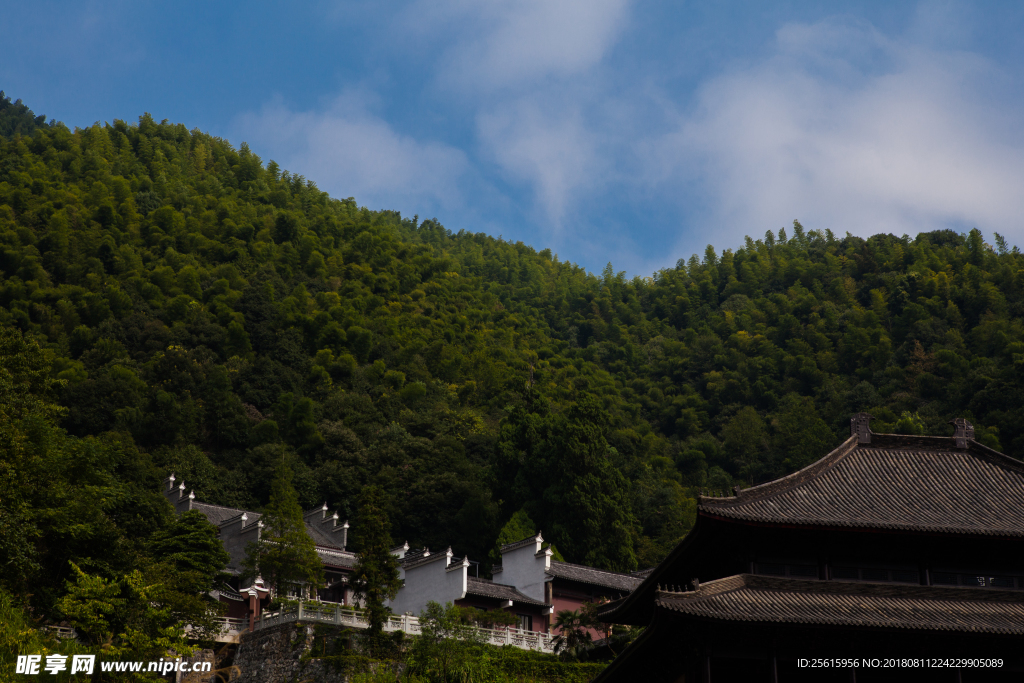 杨岐普通寺