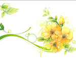 花纹