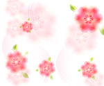 花朵