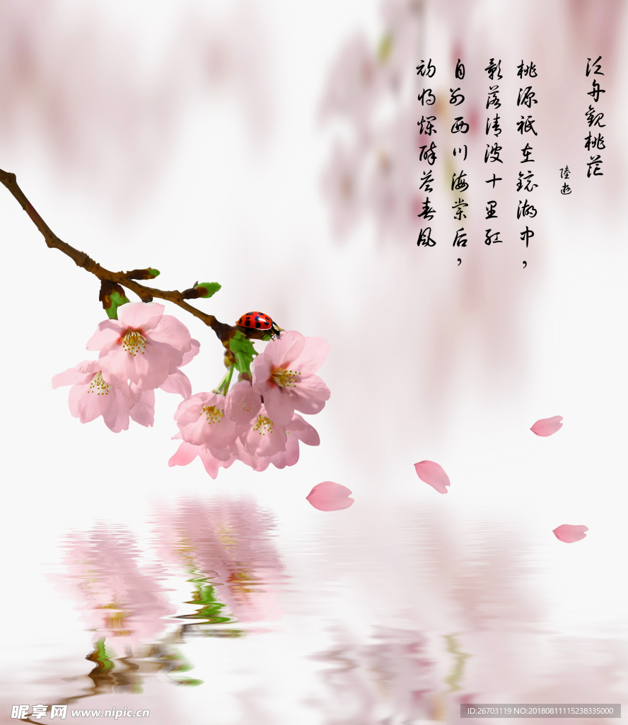 桃花