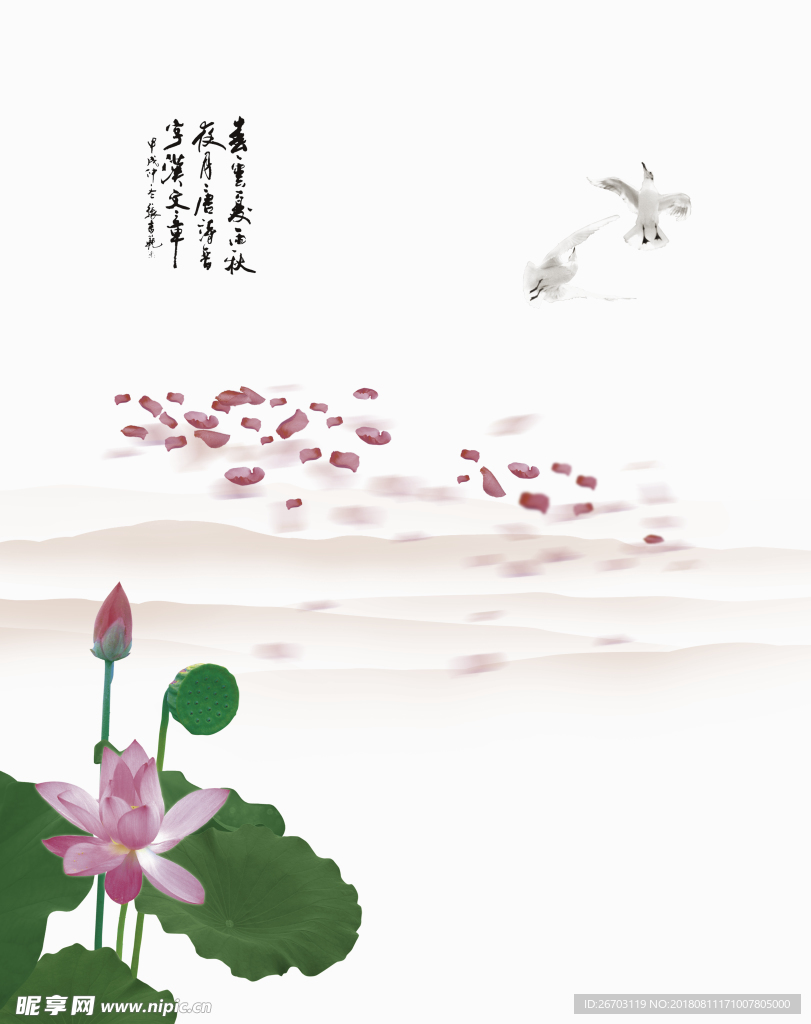荷花