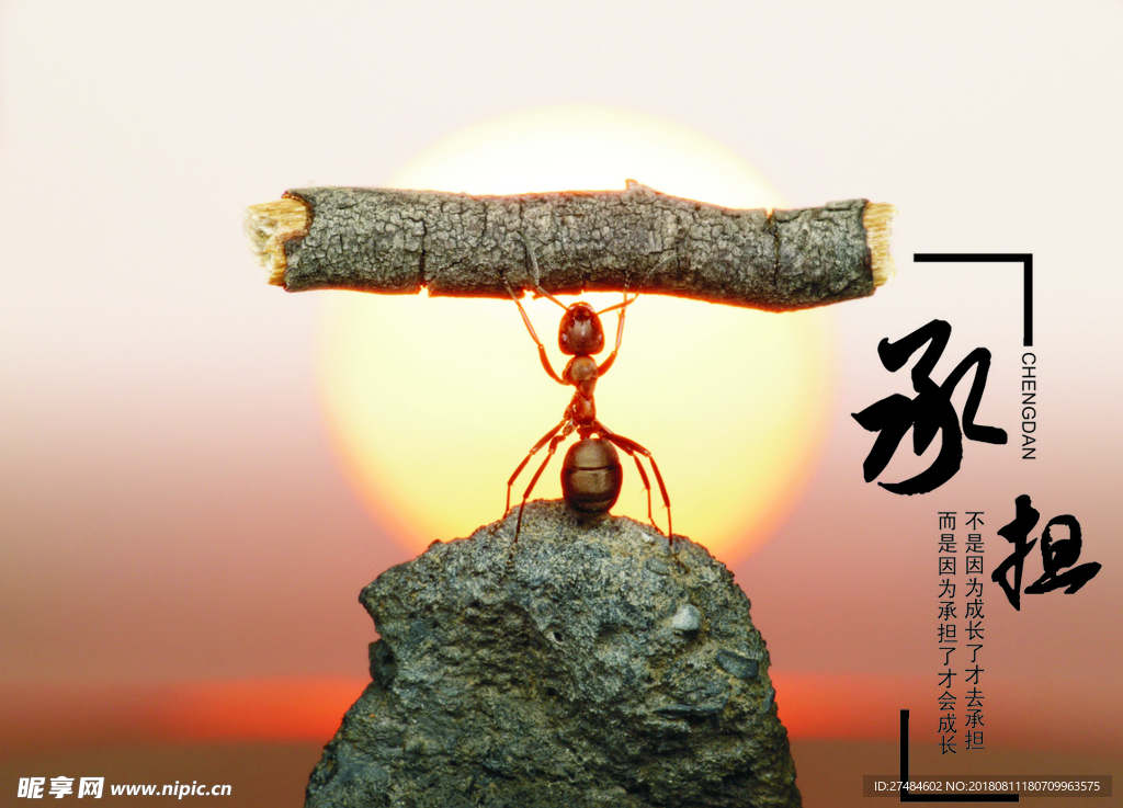 承担