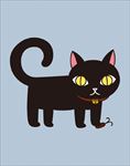 黑猫