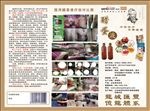 醋蛋液三折页反面