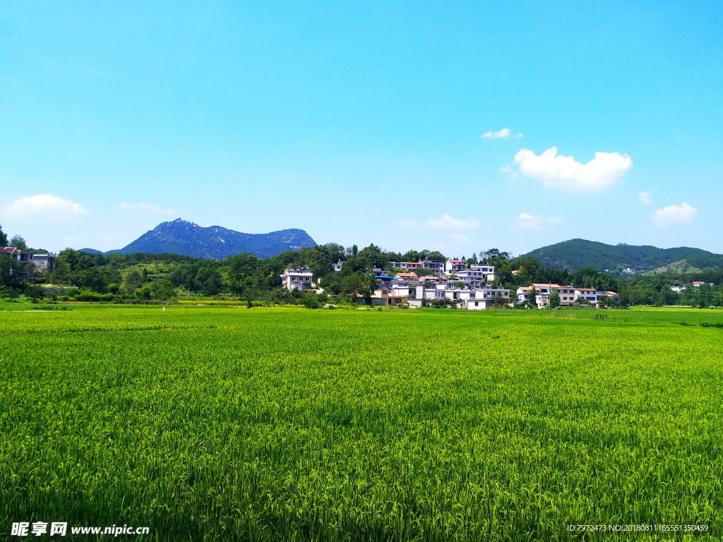 田园风光