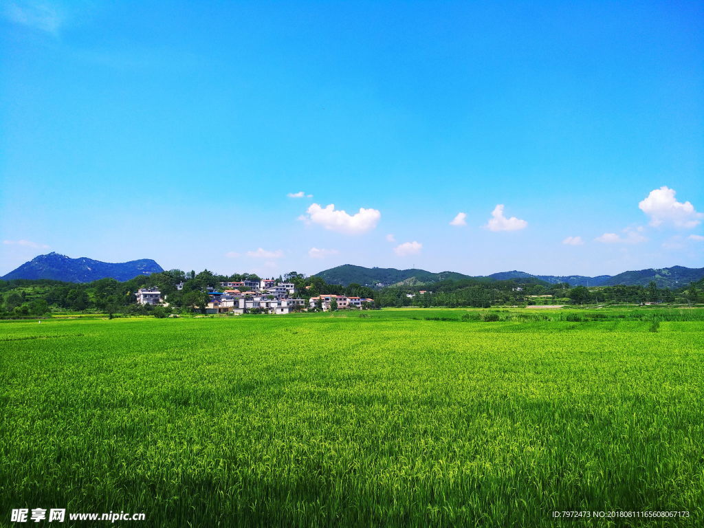 晴空