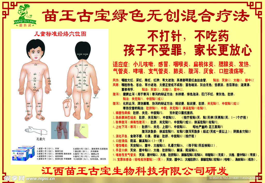 苗王古宝   儿童标准经络穴位