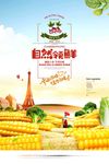 超市新鲜果蔬海报