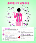 宇泉灌诊功能图谱