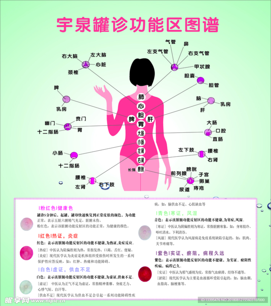 宇泉灌诊功能图谱