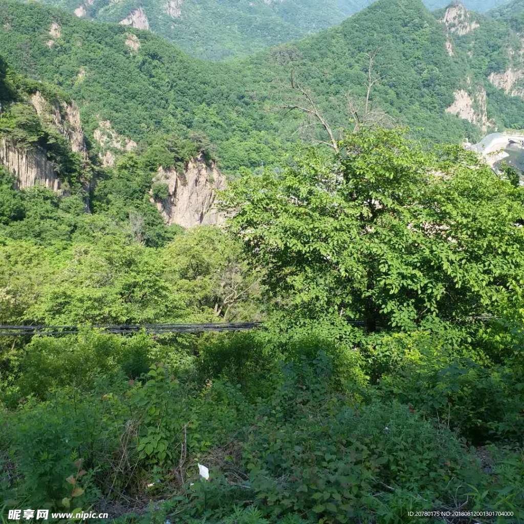 山