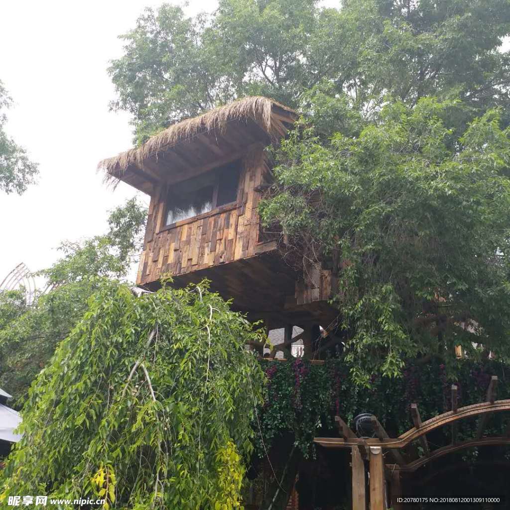 草屋