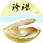 珍珠