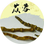 苁蓉