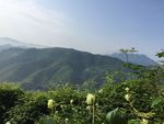 山野