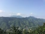 青山