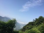 青山