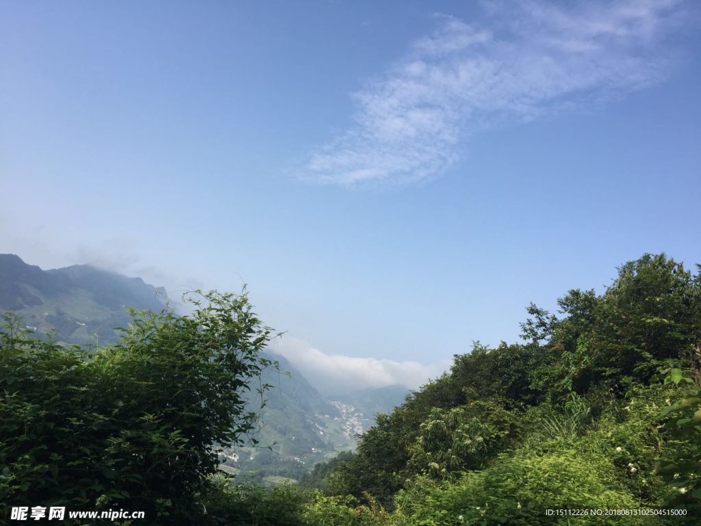 青山