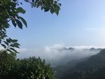 远山晨雾