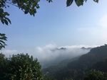 山雾
