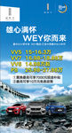 魏派 WEY