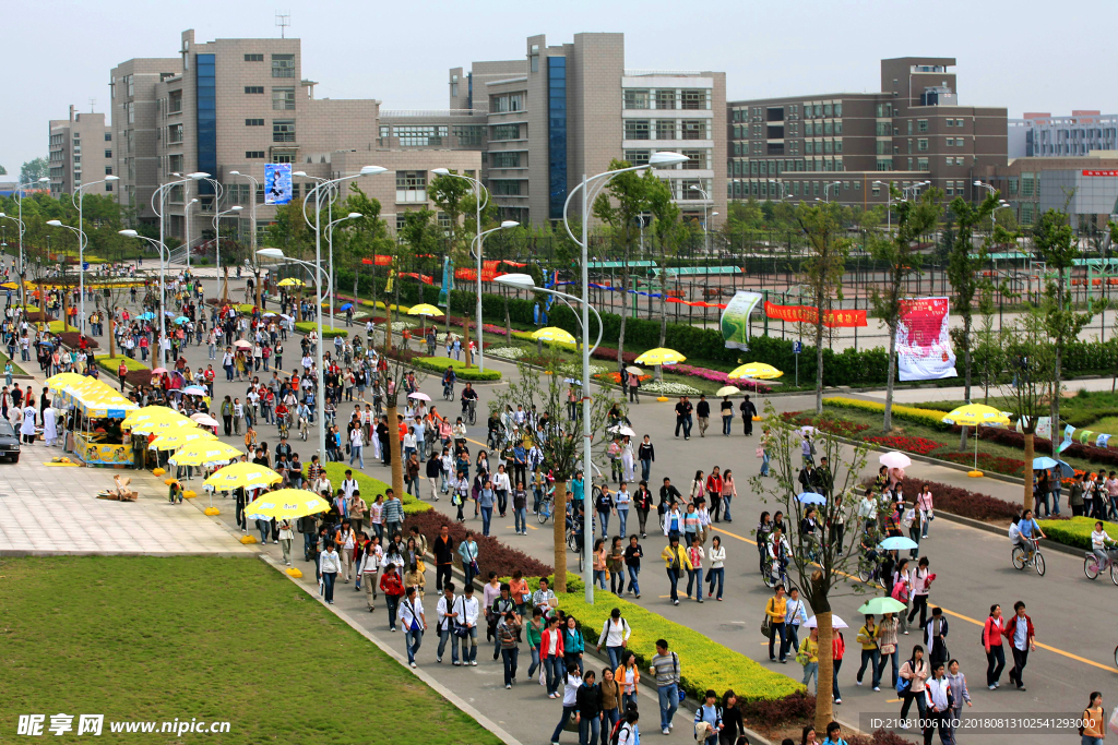 浙江财经大学 摄影 校园 风景