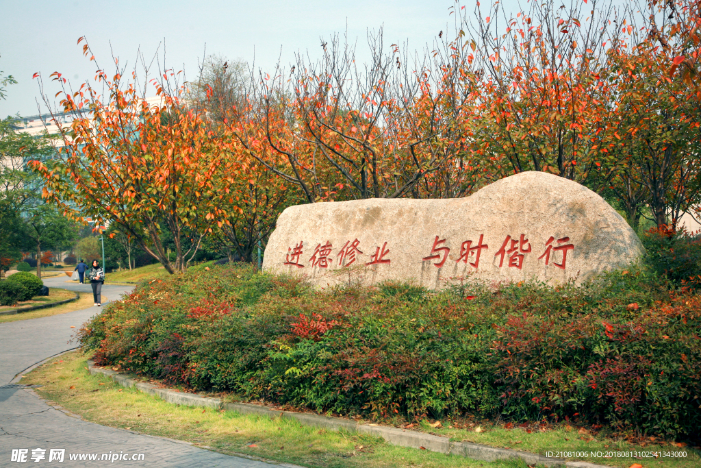 浙江财经大学 摄影 校园 风景