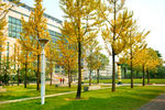 浙江财经大学 摄影 校园 风景
