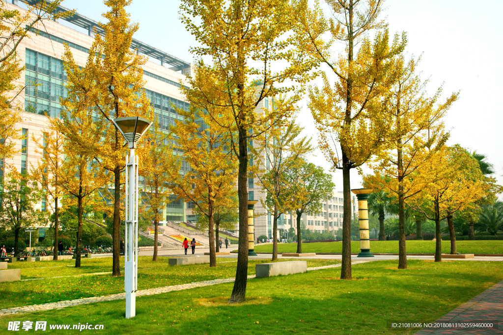 浙江财经大学 摄影 校园 风景