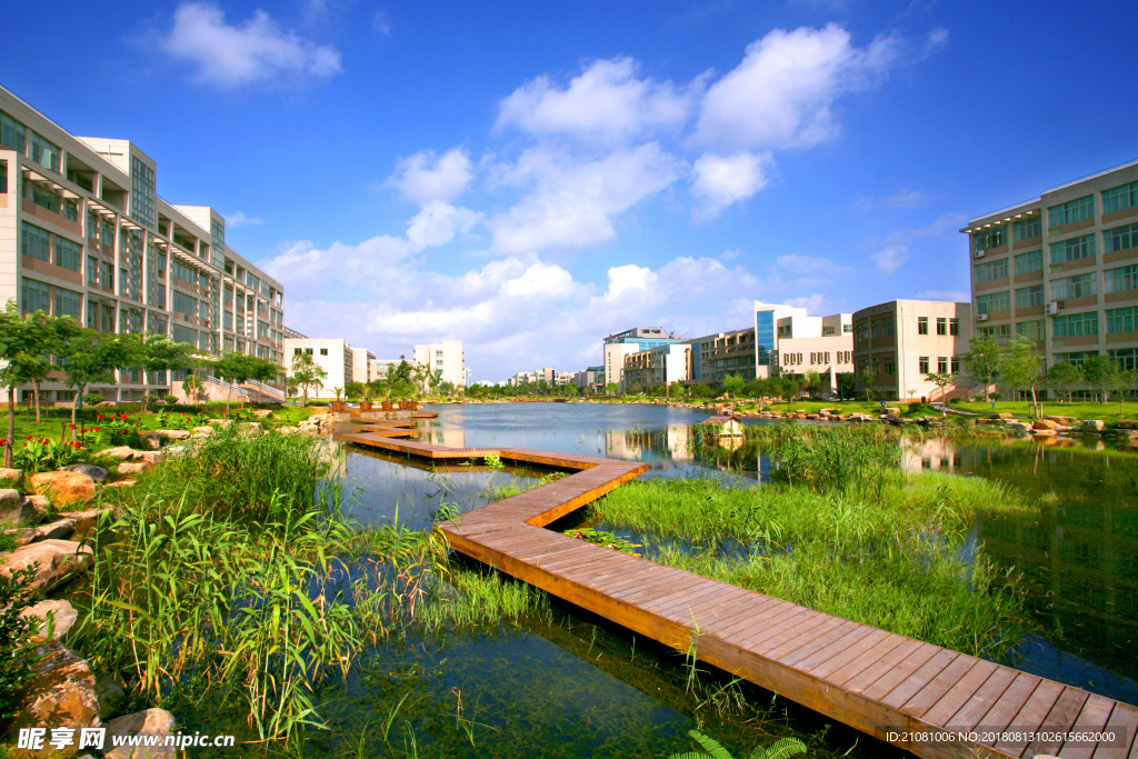 浙江财经大学 摄影 校园 风景