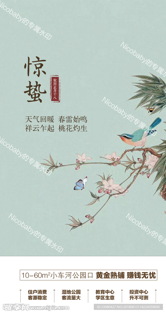 惊蛰微信稿