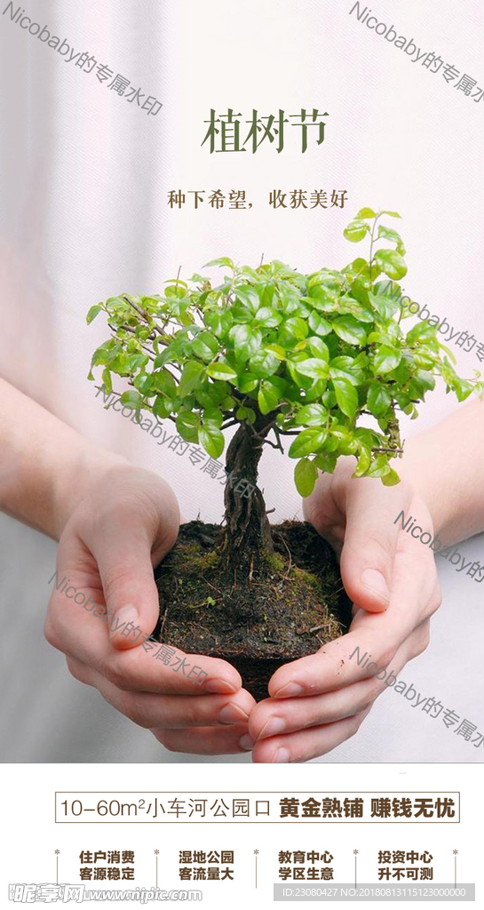 植树节微信稿