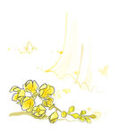 卡通花图片