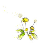 卡通花图片