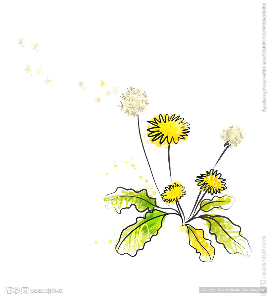卡通花图片
