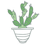 植物图片