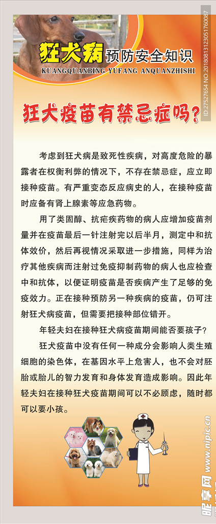 疾控中心  狂犬病安全知识