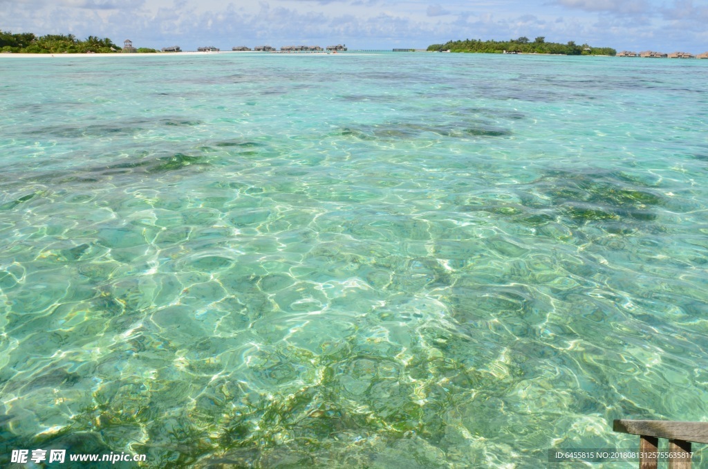 海水