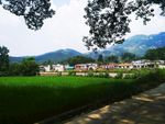 田园风光