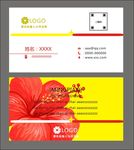 简约名片