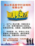 诚聘英才海报