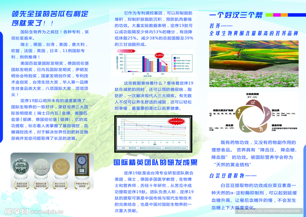 产品三折页TYP正